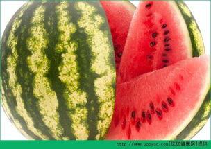 网红云南蔡总吃瓜